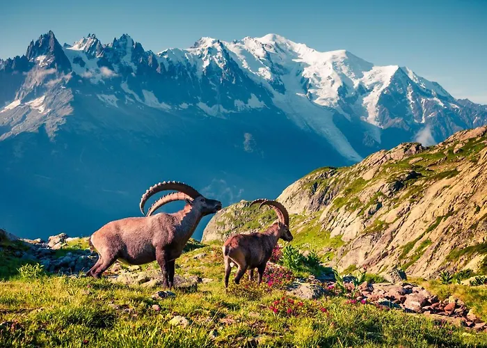 Grand Roc - Happy Apartman