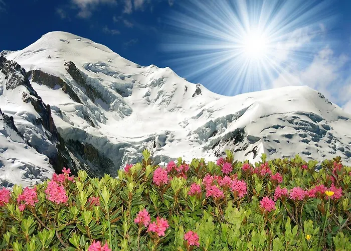 Grand Roc - Happy Apartment *